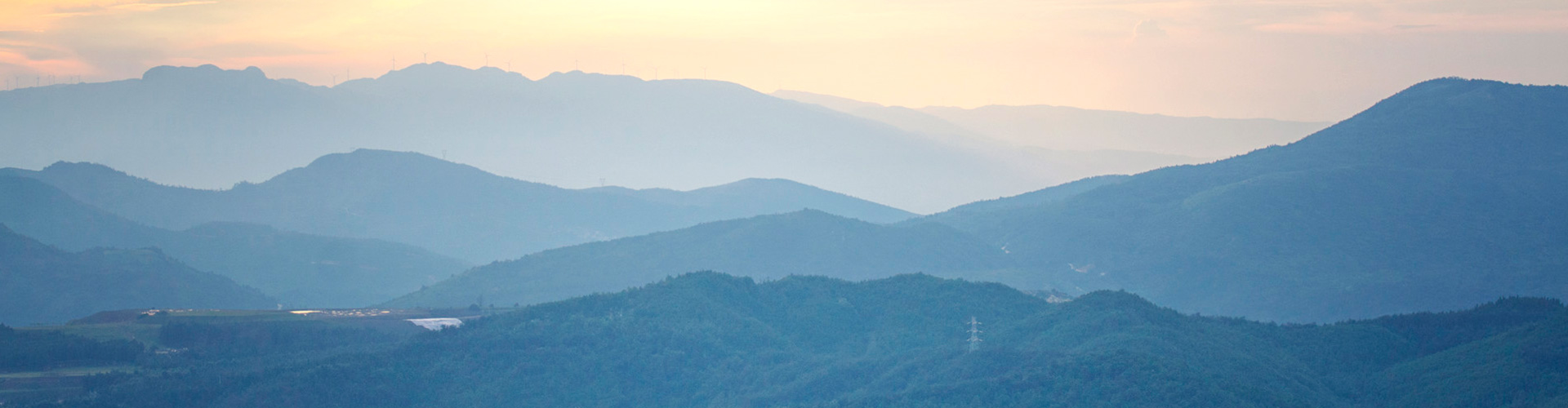 液體乙酸鈉廠家